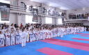 В Южно-Сахалинске пройдут региональные соревнования по олимпийскому каратэ, посвященные Дню защитника Отечества