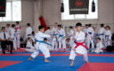 Региональные соревнования по олимпийскому каратэ, посвященные Дню защитника Отечества состоялись