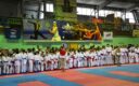 В Холмске пройдут региональные командные соревнования по каратэ WKF
